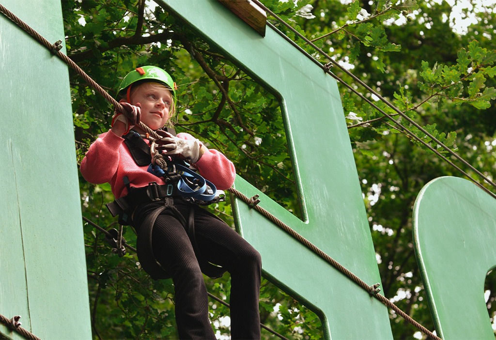 natuurlijk-heidepark-klimbos-lemelerveld
